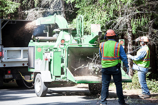 Seasonal Cleanup (Spring/Fall) in Audubon, PA